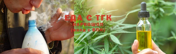 крисы Алзамай