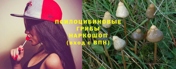 крисы Алзамай