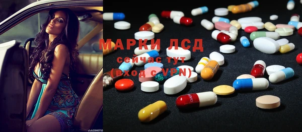 крисы Алзамай