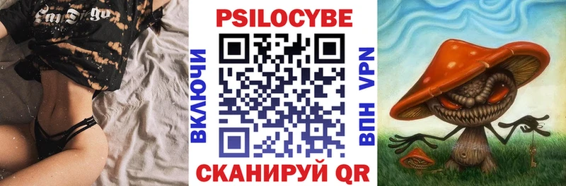 hydra зеркало  Конаково  Псилоцибиновые грибы Psilocybe 