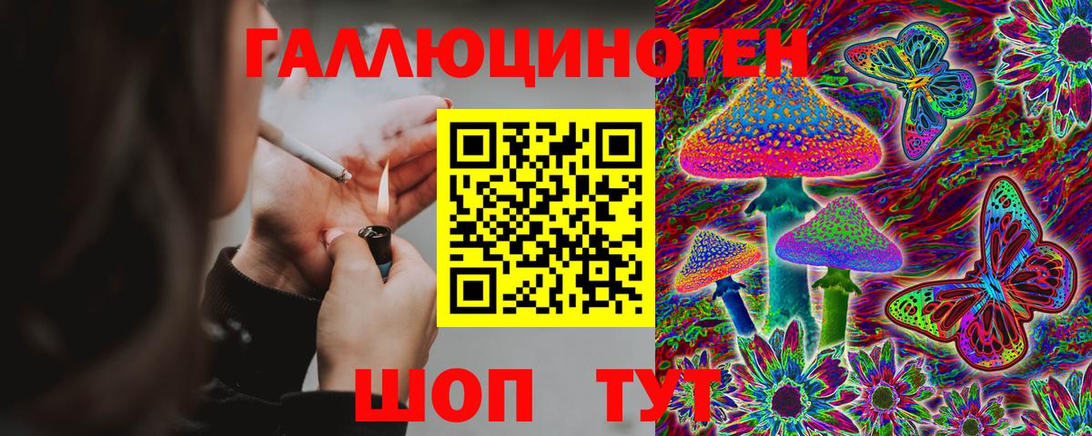 Галлюциногенные грибы Psilocybine cubensis  Псилоцибиновые грибы ЛСД  Вход с VPN  Конаково 